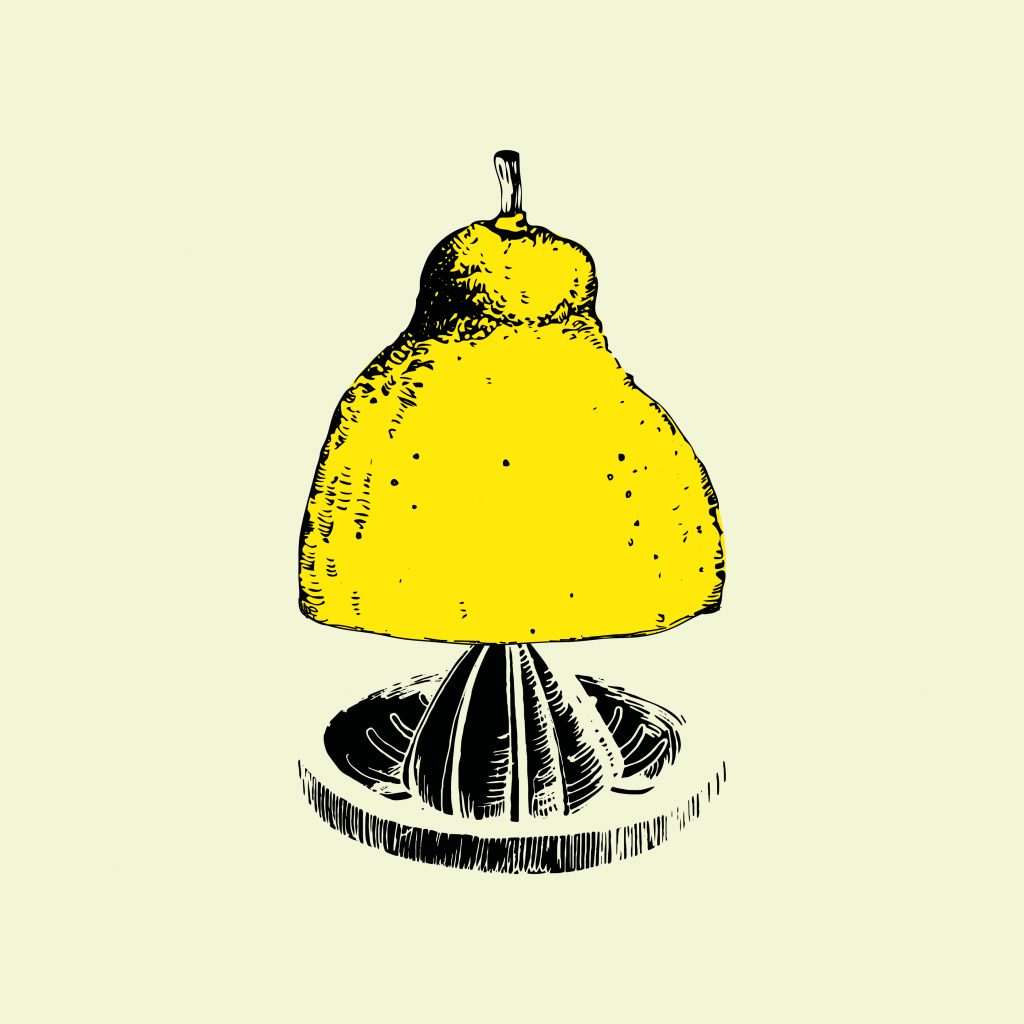 Illustration d'un citron